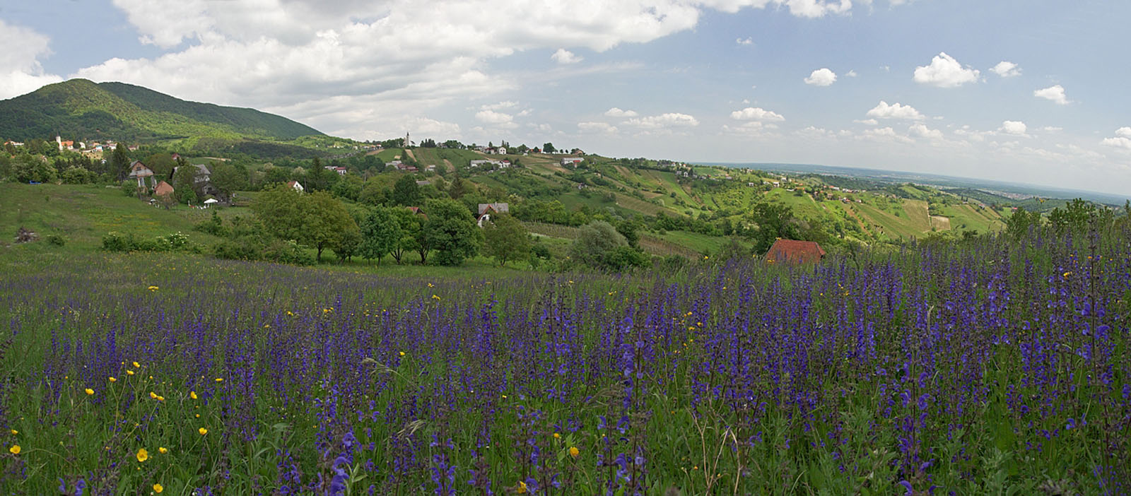 PLESIVICA2 PANORAMA